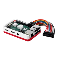 Raspberry Pi (10)