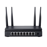 Omrežja in povezljivost (15)