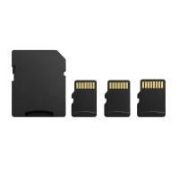 Pomnilniške kartice (17)