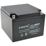 Zaprta svinčeno-kislinska baterija 12V 24Ah SY24-12