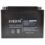 Bateria plomo sellada SY24-12 12V 24Ah recargable en caja compacta